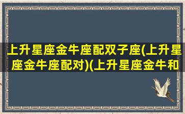 上升星座金牛座配双子座(上升星座金牛座配对)(上升星座金牛和双子)