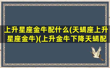 上升星座金牛配什么(天蝎座上升星座金牛)(上升金牛下降天蝎配什么星座)