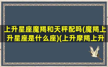 上升星座魔羯和天秤配吗(魔羯上升星座是什么座)(上升摩羯上升天秤)