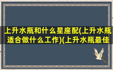 上升水瓶和什么星座配(上升水瓶适合做什么工作)(上升水瓶最佳配偶)