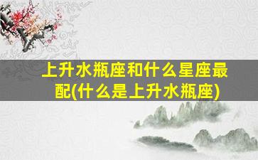 上升水瓶座和什么星座最配(什么是上升水瓶座)