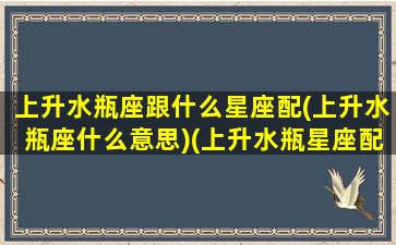 上升水瓶座跟什么星座配(上升水瓶座什么意思)(上升水瓶星座配对)