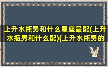 上升水瓶男和什么星座最配(上升水瓶男和什么配)(上升水瓶男的爱情)