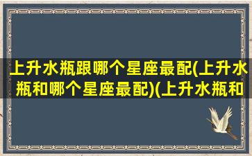 上升水瓶跟哪个星座最配(上升水瓶和哪个星座最配)(上升水瓶和上升水瓶配吗)