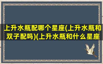 上升水瓶配哪个星座(上升水瓶和双子配吗)(上升水瓶和什么星座配)