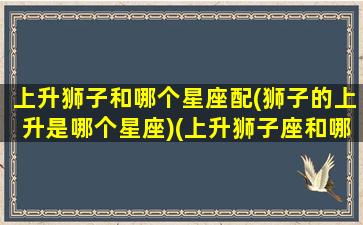 上升狮子和哪个星座配(狮子的上升是哪个星座)(上升狮子座和哪个星座最配)