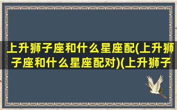 上升狮子座和什么星座配(上升狮子座和什么星座配对)(上升狮子座和什么座最配对)