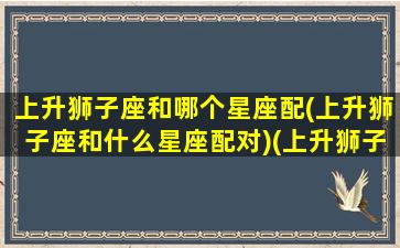 上升狮子座和哪个星座配(上升狮子座和什么星座配对)(上升狮子座的另一半长相)