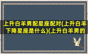 上升白羊男配星座配对(上升白羊下降星座是什么)(上升白羊男的性格特点)