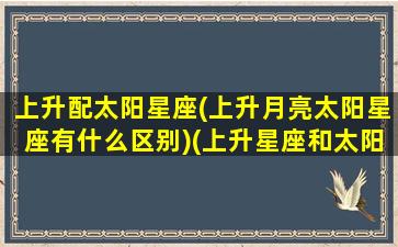 上升配太阳星座(上升月亮太阳星座有什么区别)(上升星座和太阳月亮星座)