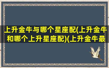 上升金牛与哪个星座配(上升金牛和哪个上升星座配)(上升金牛最佳配对)