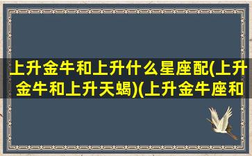 上升金牛和上升什么星座配(上升金牛和上升天蝎)(上升金牛座和什么上升星座最配)