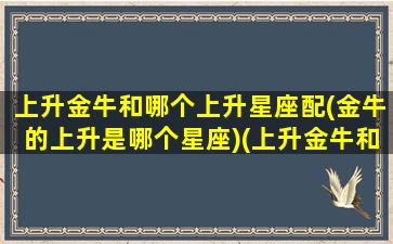 上升金牛和哪个上升星座配(金牛的上升是哪个星座)(上升金牛和什么星座配)