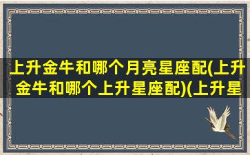 上升金牛和哪个月亮星座配(上升金牛和哪个上升星座配)(上升星座金牛和什么星座合适)