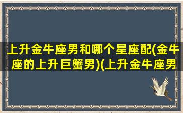 上升金牛座男和哪个星座配(金牛座的上升巨蟹男)(上升金牛座男生性格)