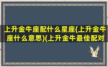 上升金牛座配什么星座(上升金牛座什么意思)(上升金牛最佳配对)