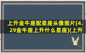 上升金牛座配星座头像图片(4.29金牛座上升什么星座)(上升金牛和什么星座配)