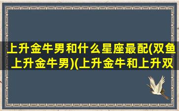 上升金牛男和什么星座最配(双鱼上升金牛男)(上升金牛和上升双鱼区别)