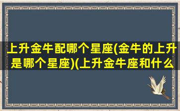 上升金牛配哪个星座(金牛的上升是哪个星座)(上升金牛座和什么上升星座最配)