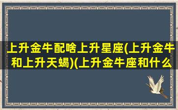 上升金牛配啥上升星座(上升金牛和上升天蝎)(上升金牛座和什么上升星座最配)