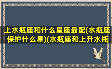 上水瓶座和什么星座最配(水瓶座保护什么星)(水瓶座和上升水瓶座的区别)