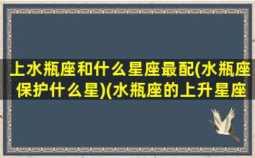 上水瓶座和什么星座最配(水瓶座保护什么星)(水瓶座的上升星座是什么星座)