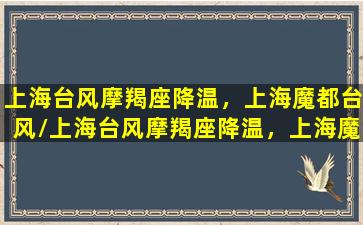 上海台风摩羯座降温，上海魔都台风/上海台风摩羯座降温，上海魔都台风-我的网站