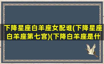 下降星座白羊座女配谁(下降星座白羊座第七宫)(下降白羊座是什么意思)