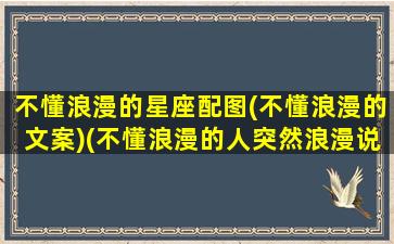 不懂浪漫的星座配图(不懂浪漫的文案)(不懂浪漫的人突然浪漫说说)