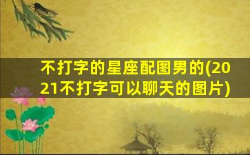 不打字的星座配图男的(2021不打字可以聊天的图片)