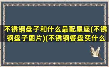 不锈钢盘子和什么最配星座(不锈钢盘子图片)(不锈钢餐盘买什么牌子)