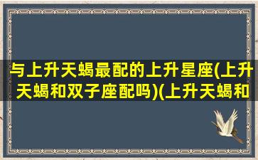 与上升天蝎最配的上升星座(上升天蝎和双子座配吗)(上升天蝎和什么星座配)