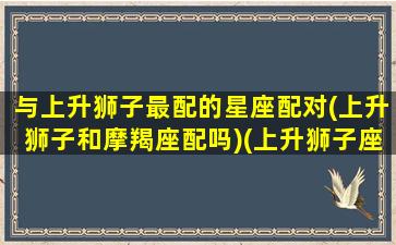 与上升狮子最配的星座配对(上升狮子和摩羯座配吗)(上升狮子座和上升狮子座合适吗)