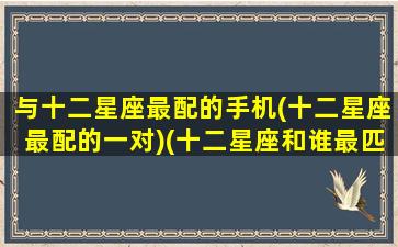 与十二星座最配的手机(十二星座最配的一对)(十二星座和谁最匹配)