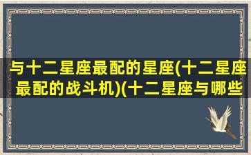 与十二星座最配的星座(十二星座最配的战斗机)(十二星座与哪些星座最相配)