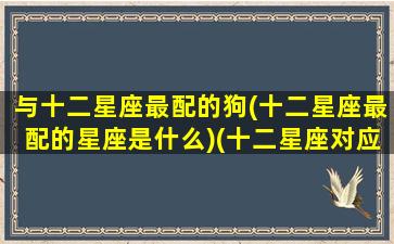 与十二星座最配的狗(十二星座最配的星座是什么)(十二星座对应的狗)