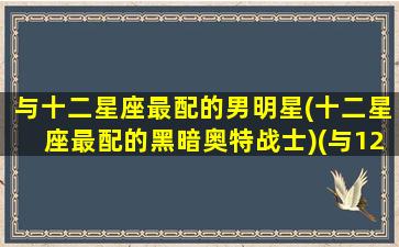 与十二星座最配的男明星(十二星座最配的黑暗奥特战士)(与12星座最配的奥特曼)