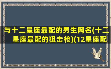 与十二星座最配的男生网名(十二星座最配的狙击枪)(12星座配什么男生)