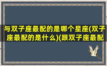 与双子座最配的是哪个星座(双子座最配的是什么)(跟双子座最配的星座配对)