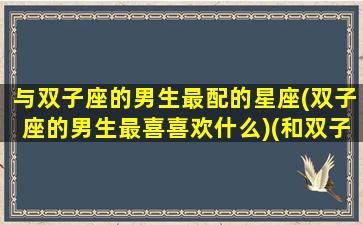 与双子座的男生最配的星座(双子座的男生最喜喜欢什么)(和双子男最搭的星座)