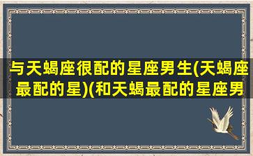 与天蝎座很配的星座男生(天蝎座最配的星)(和天蝎最配的星座男)