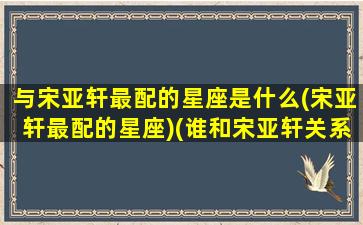 与宋亚轩最配的星座是什么(宋亚轩最配的星座)(谁和宋亚轩关系最好)