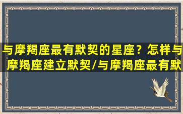 与摩羯座最有默契的星座？怎样与摩羯座建立默契/与摩羯座最有默契的星座？怎样与摩羯座建立默契-我的网站