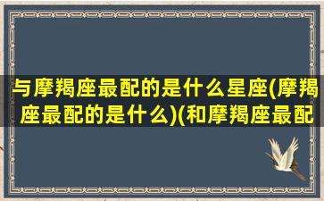 与摩羯座最配的是什么星座(摩羯座最配的是什么)(和摩羯座最配的星座是)