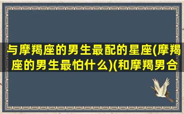 与摩羯座的男生最配的星座(摩羯座的男生最怕什么)(和摩羯男合得来的星座)