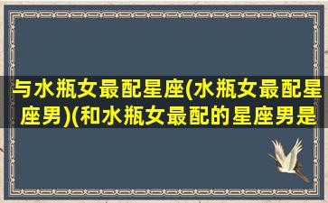 与水瓶女最配星座(水瓶女最配星座男)(和水瓶女最配的星座男是什么星座)