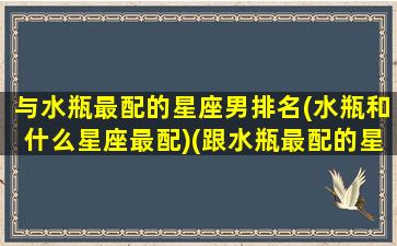 与水瓶最配的星座男排名(水瓶和什么星座最配)(跟水瓶最配的星座)