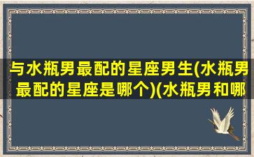 与水瓶男最配的星座男生(水瓶男最配的星座是哪个)(水瓶男和哪个星座配对)