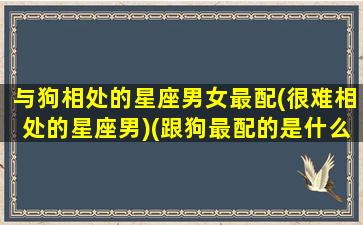 与狗相处的星座男女最配(很难相处的星座男)(跟狗最配的是什么属性)