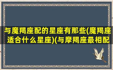 与魔羯座配的星座有那些(魔羯座适合什么星座)(与摩羯座最相配的星座)